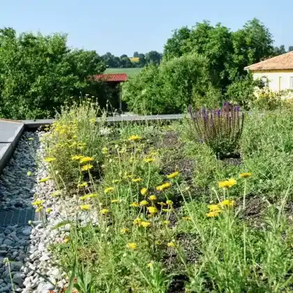 Biodiversität im Fokus #2: 74qm für die Natur