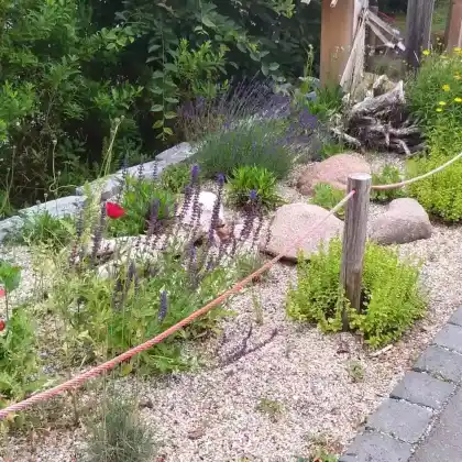 Gießarmes Bienenbeet 