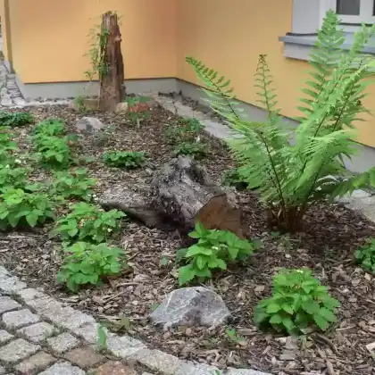 Naturnahes Schattenbeet am Haus