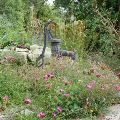 Pflasterbegrünung am Rande der Terrasse