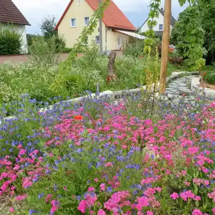 Bunter Vorgartentraum