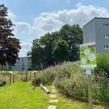 Kalkschotterhügel im PikoPark