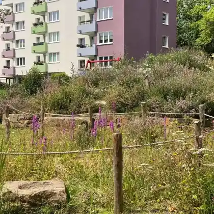 Sumpfbeet im PikoPark