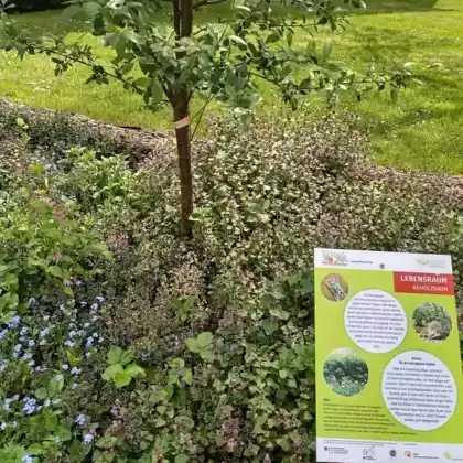 PikoPark: Lebensraum Gehölzsaum