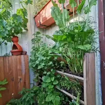 Vertikalbeet auf beengtem Balkon