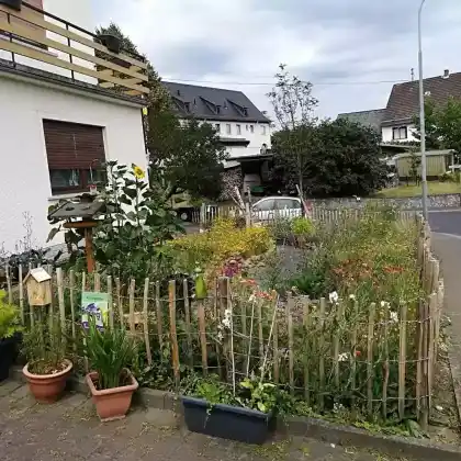 Neuanfang Vorgarten: Üppiges Paradies für Insekten und Tiere
