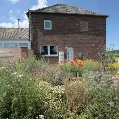 30qm Magerbeet im Vorgarten - für über 700 Insekten interessant