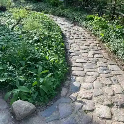 Gierschparadies: Naturnahe Vielfalt im Halbschatten/Schatten