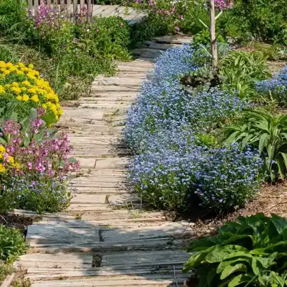 Schöner & insektenfreundlicher Saumbereich am Weg