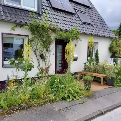 Pflegearmer Vorgarten mit lehmigen Boden