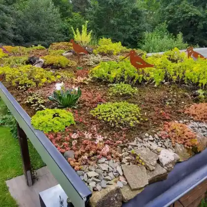 Ein Pavillon im Grünen: Ein Gründach als Oase der Vielfalt und Schönheit