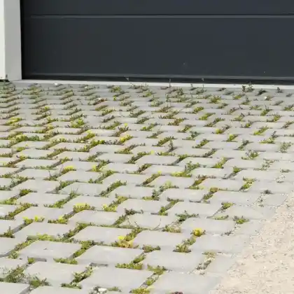 Naturnahes Pflaster – ein grüner Start direkt vor der Haustür! 