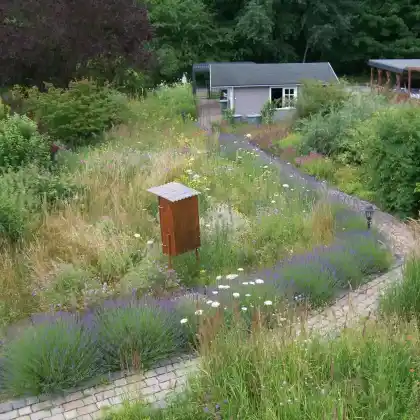 Wildhecke mit überwiegend einheimischen Arten