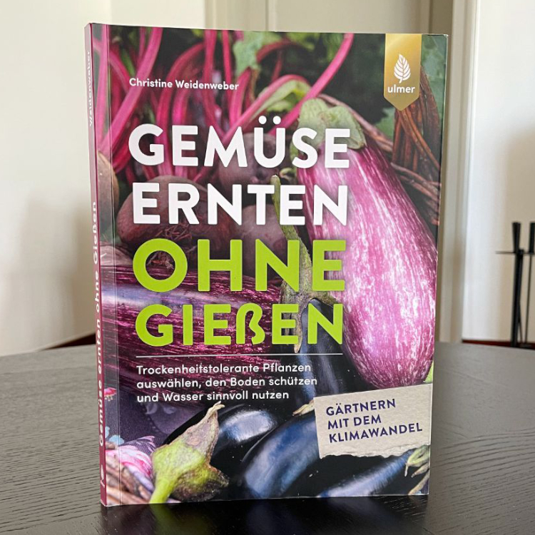 Gemüse ernten ohne gießen