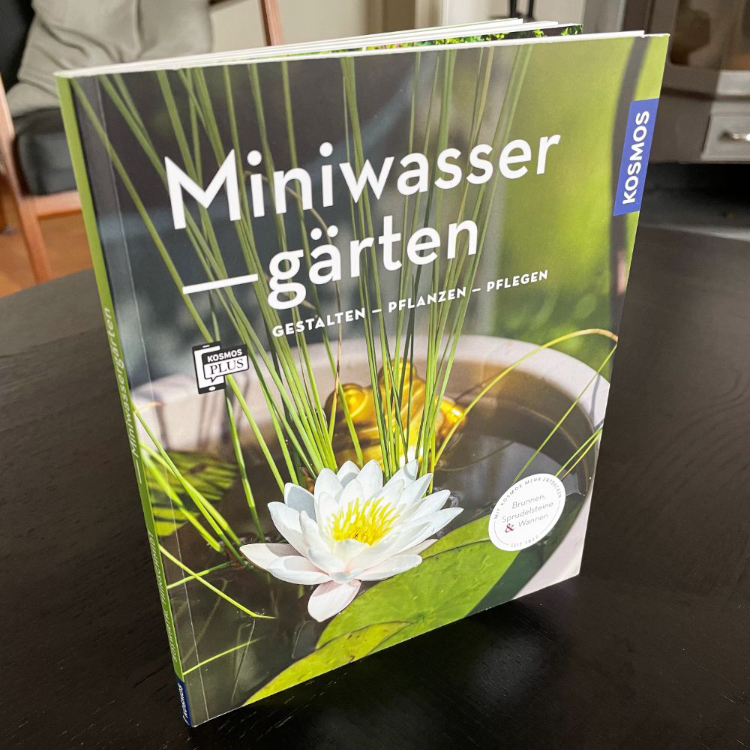 Miniwassergärten (Mein Garten): Gestalten Pflanzen Pflegen
