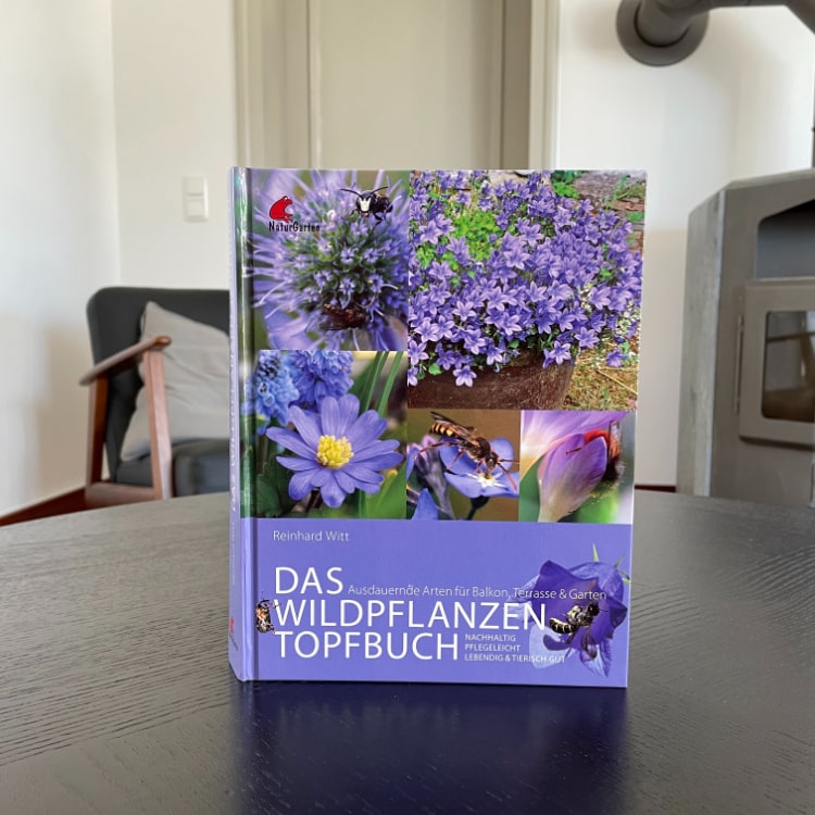 Das Wildpflanzen Topfbuch