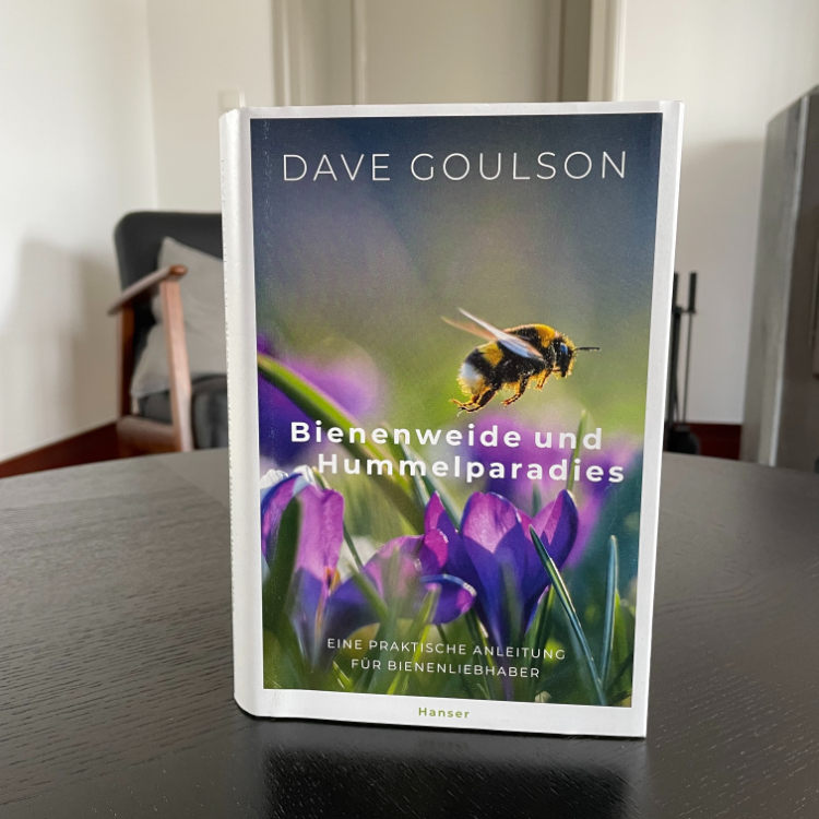 Bienenweide und Hummelparadies