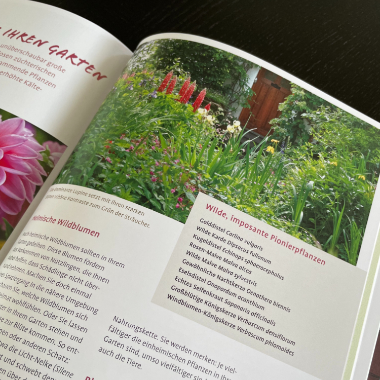 Buchtipp: Naturgarten ganz einfach: 35 Ideen für nachhaltiges Gärtnern. Mit wilden Ecken, Bienen-Tankstellen und Wiese statt Rasen