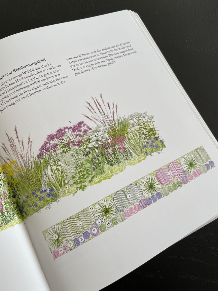 Buchtipp: Natürlich schön und wild umschwärmt - Insektenfreundliche Blumenbeete planen, umsetzen und pflegen