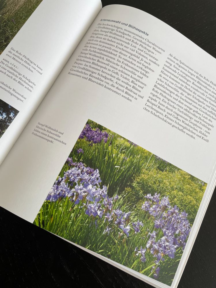 Buchtipp: Natürlich schön und wild umschwärmt - Insektenfreundliche Blumenbeete planen, umsetzen und pflegen