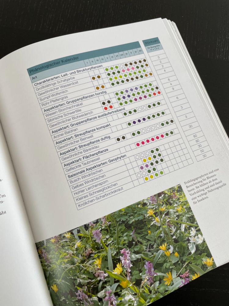 Buchtipp: Natürlich schön und wild umschwärmt - Insektenfreundliche Blumenbeete planen, umsetzen und pflegen