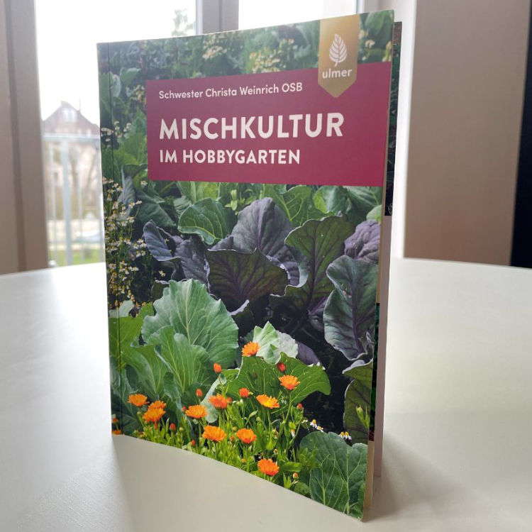 Mischkultur im Hobbygarten