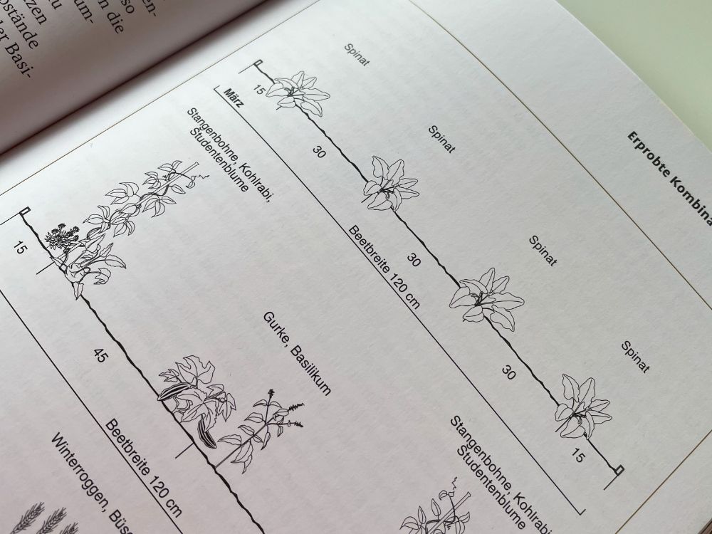 Buchtipp: Mischkultur im Hobbygarten