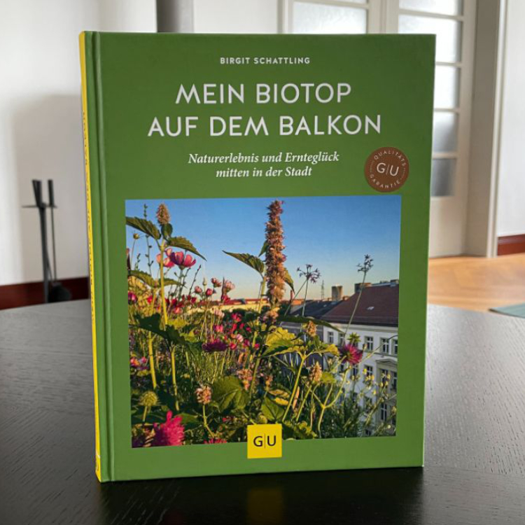 Mein Biotop auf dem Balkon