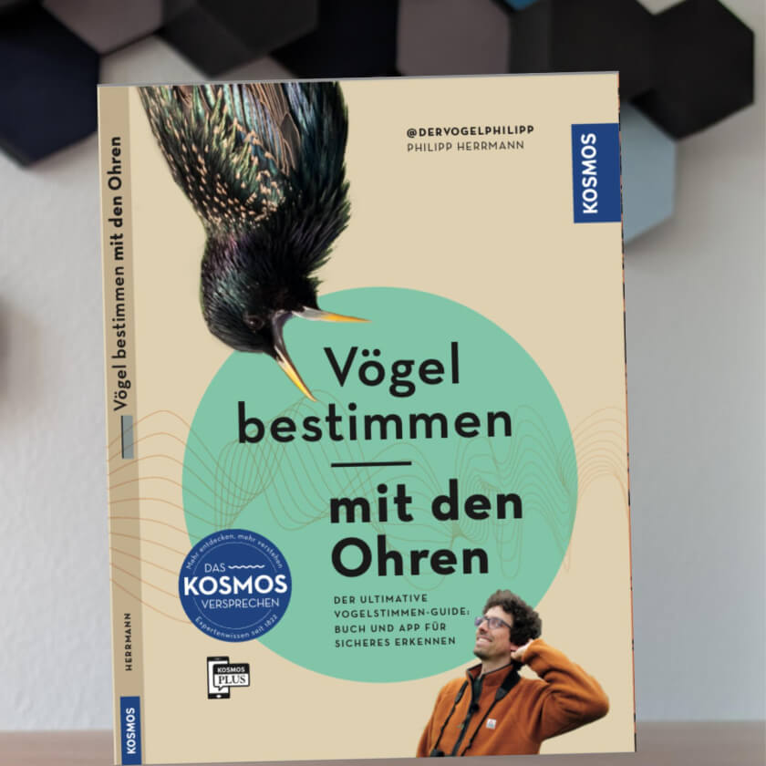 Vögel bestimmen mit den Ohren
