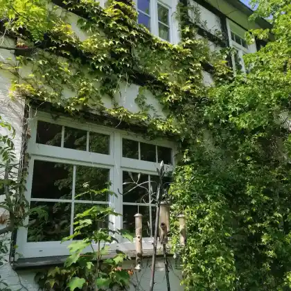 Vertikales Grün: Wände und Kletterpflanzen