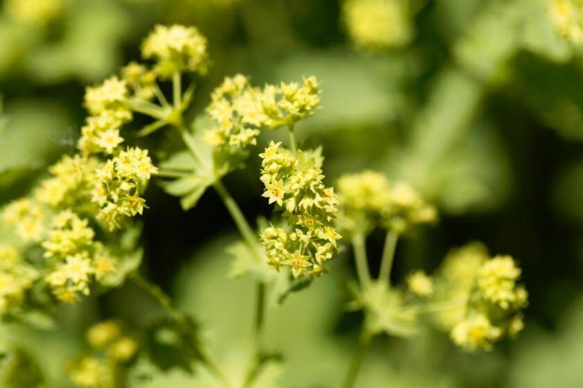 53+ Garten Kaufen Kahl, Pflasterarbeiten, terrassenbau,