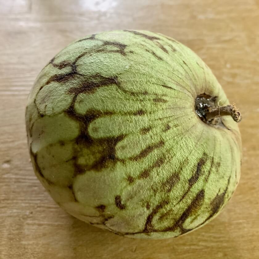 Cherimoya südamerikanische Zierpflanze mit süßen Früchten