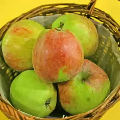 Foto von Apfel 'Westfälischer Gülderling' (Malus 'Westfälischer Gülderling')