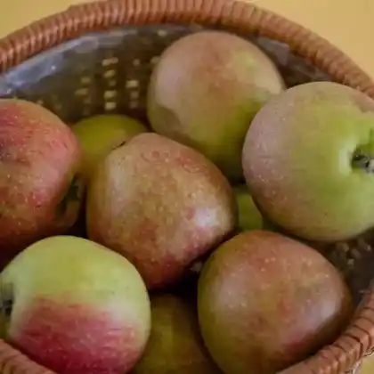 Foto von Apfel 'Adams Parmäne' (Malus 'Adams Parmäne')