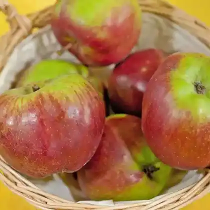 Foto von Apfel 'Berkersheimer Roter' (Malus 'Berkersheimer Roter')