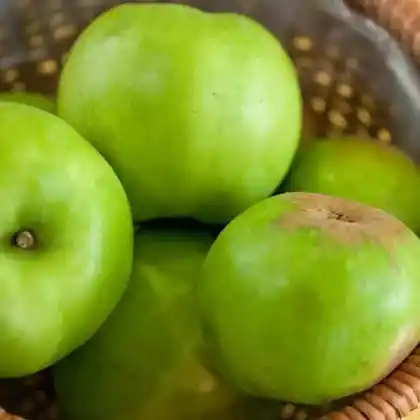 Foto von Apfel 'Boikenapfel' (Malus 'Boikenapfel')