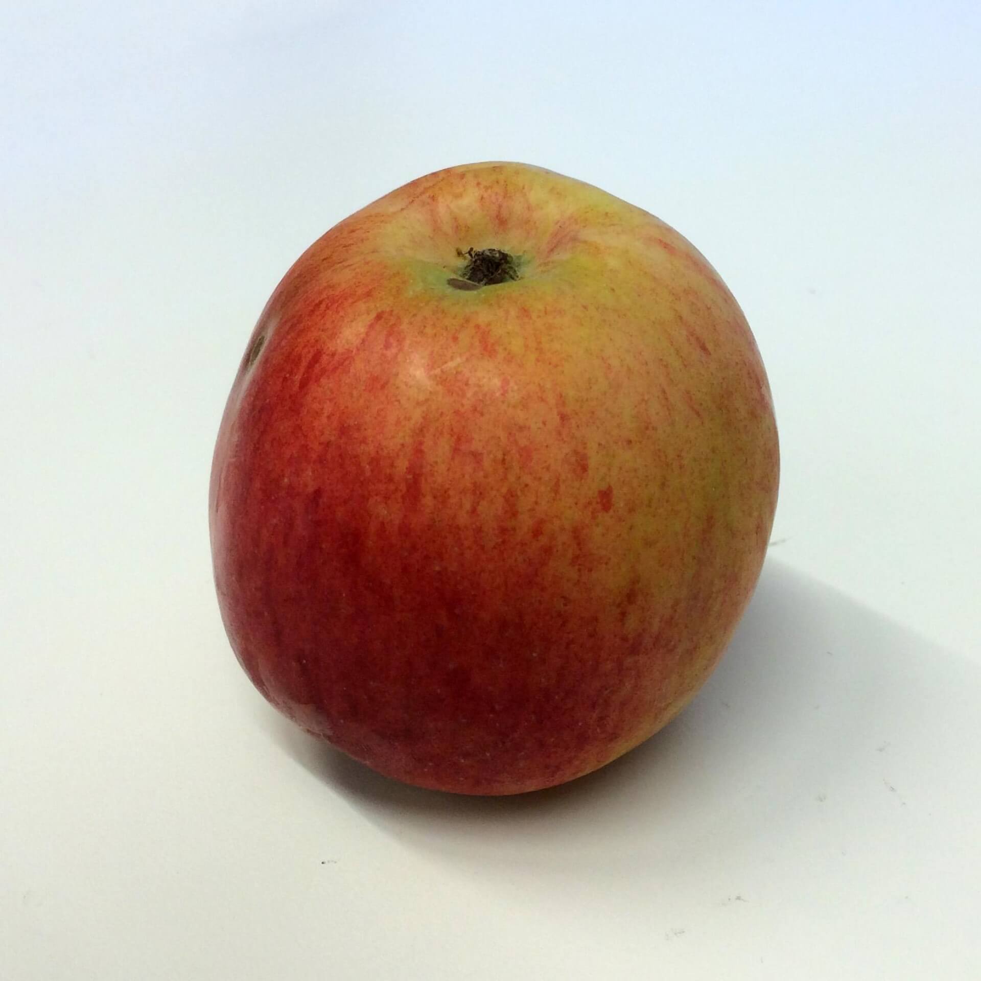 Apfel 'Cortland' (Malus 'Cortland')