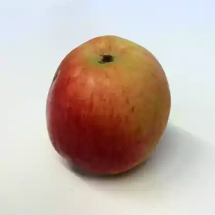 Foto von Apfel 'Cortland' (Malus 'Cortland')