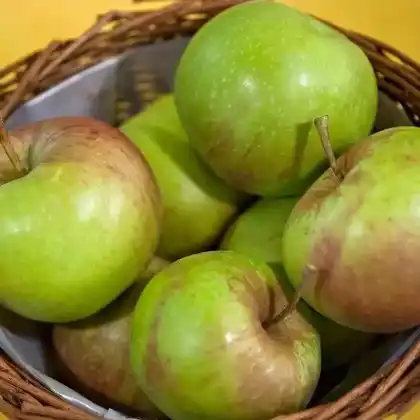 Foto von Apfel 'Himbacher Grüner' (Malus 'Himbacher Grüner')