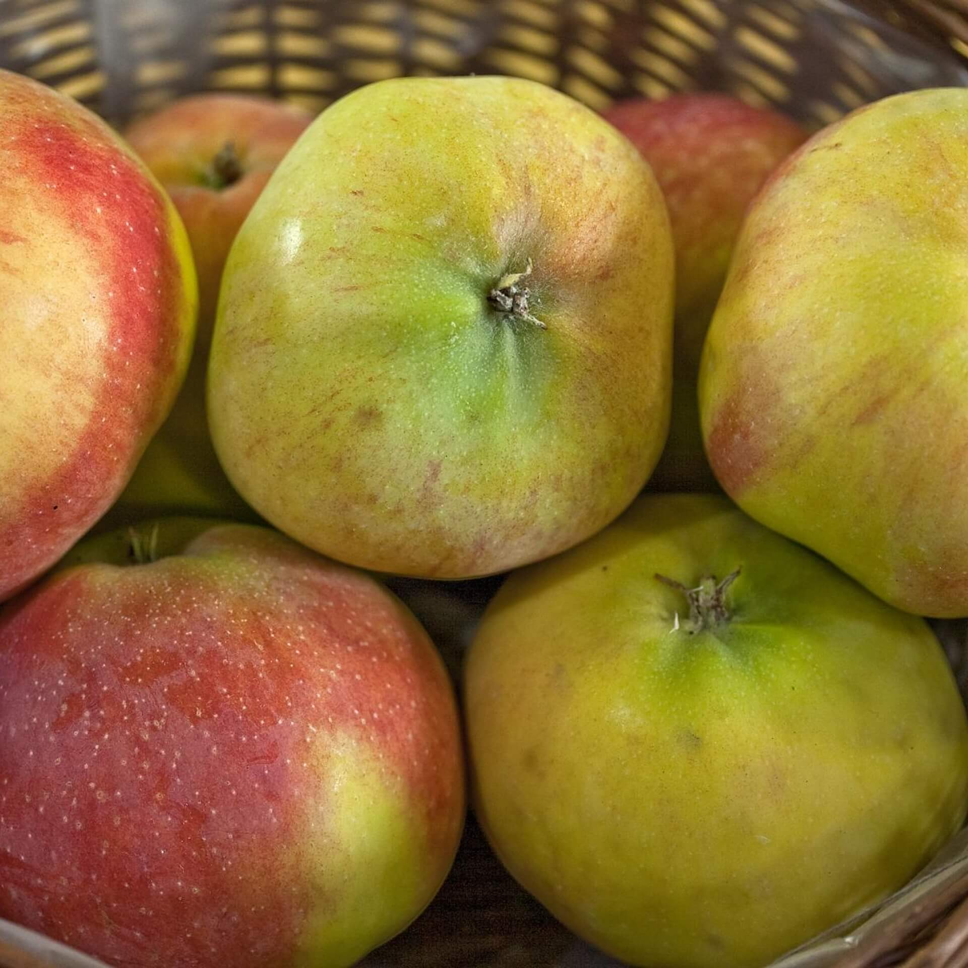 Apfel 'Jamba' (Malus 'Jamba')