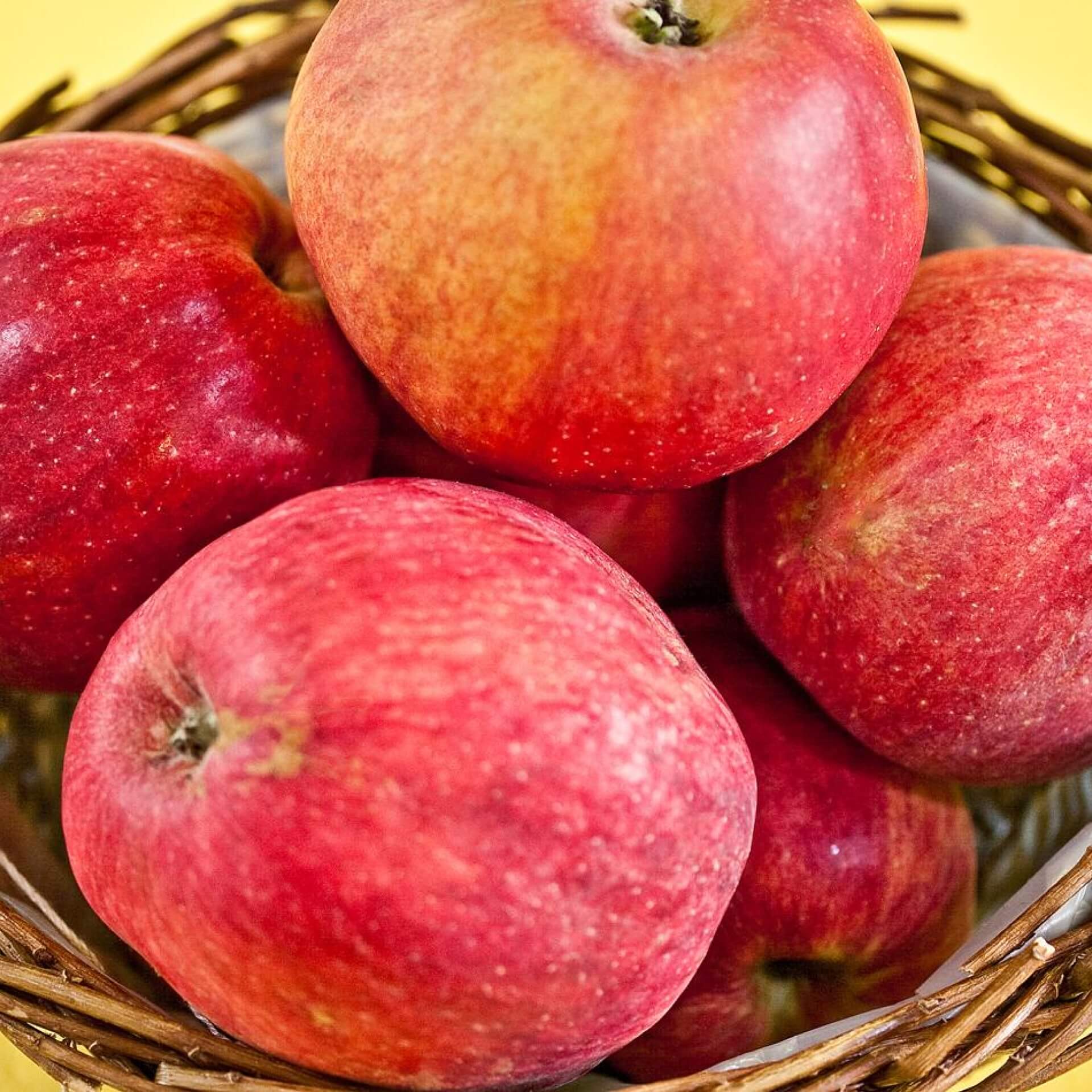 Apfel 'Oberländer Himbeerapfel' (Malus 'Oberländer Himbeerapfel')