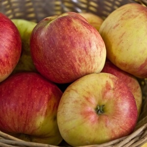Malus 'Reglindis'