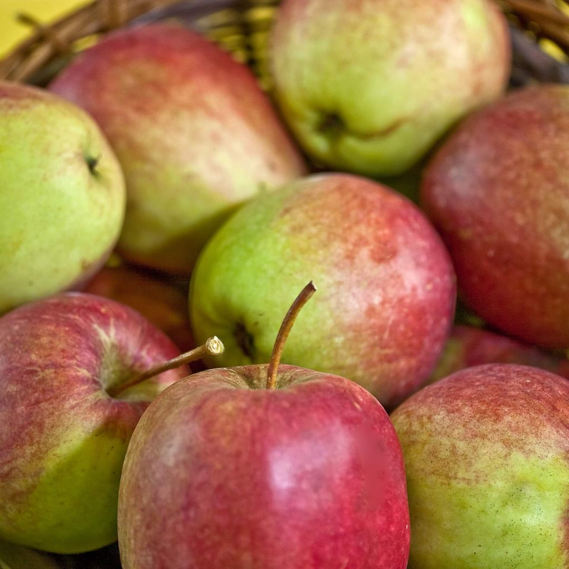 Apfel 'Rewena' (Malus 'Rewena')