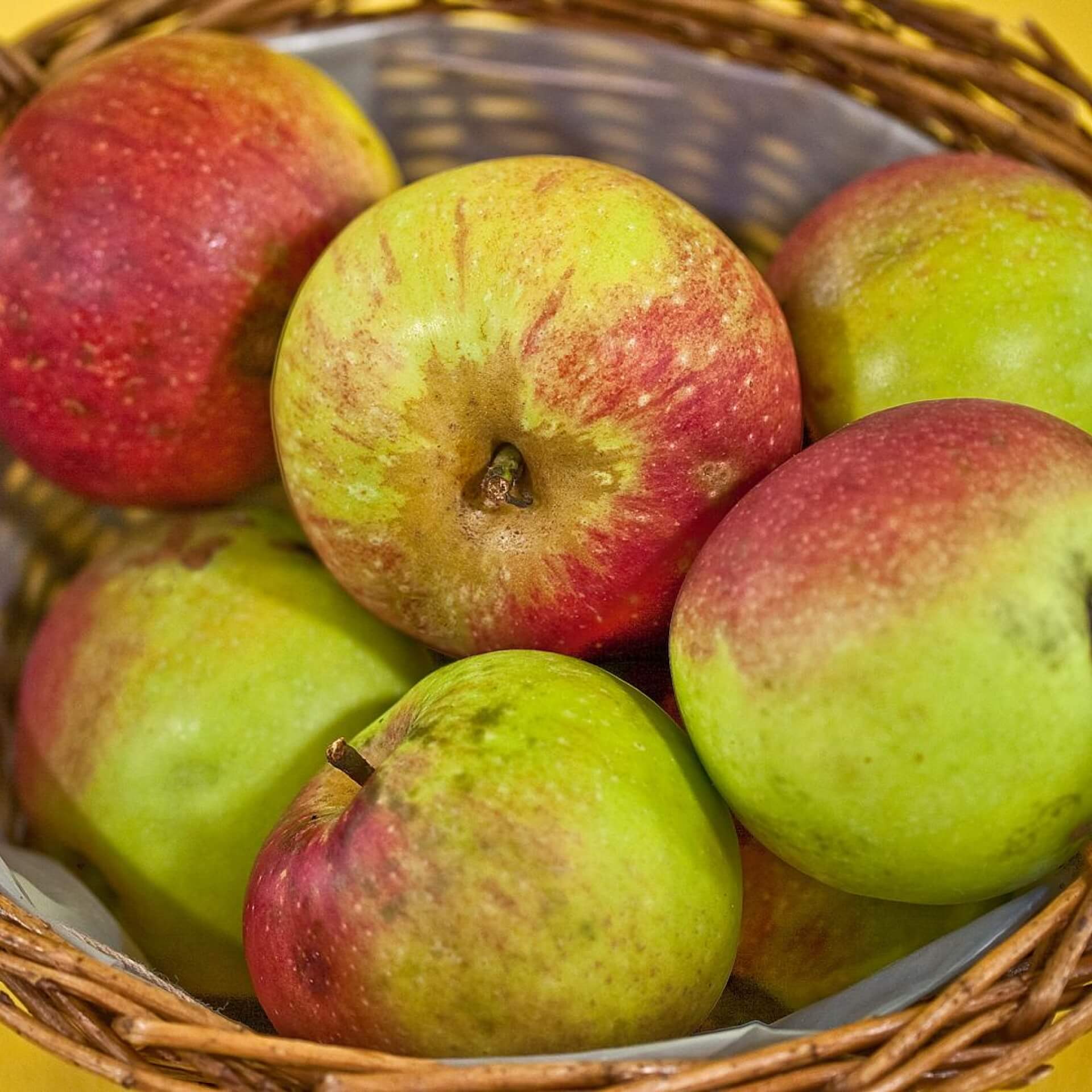 Apfel 'Roter Fresquin' (Malus 'Roter Fresquin')