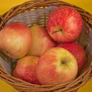 Malus 'Summerred'