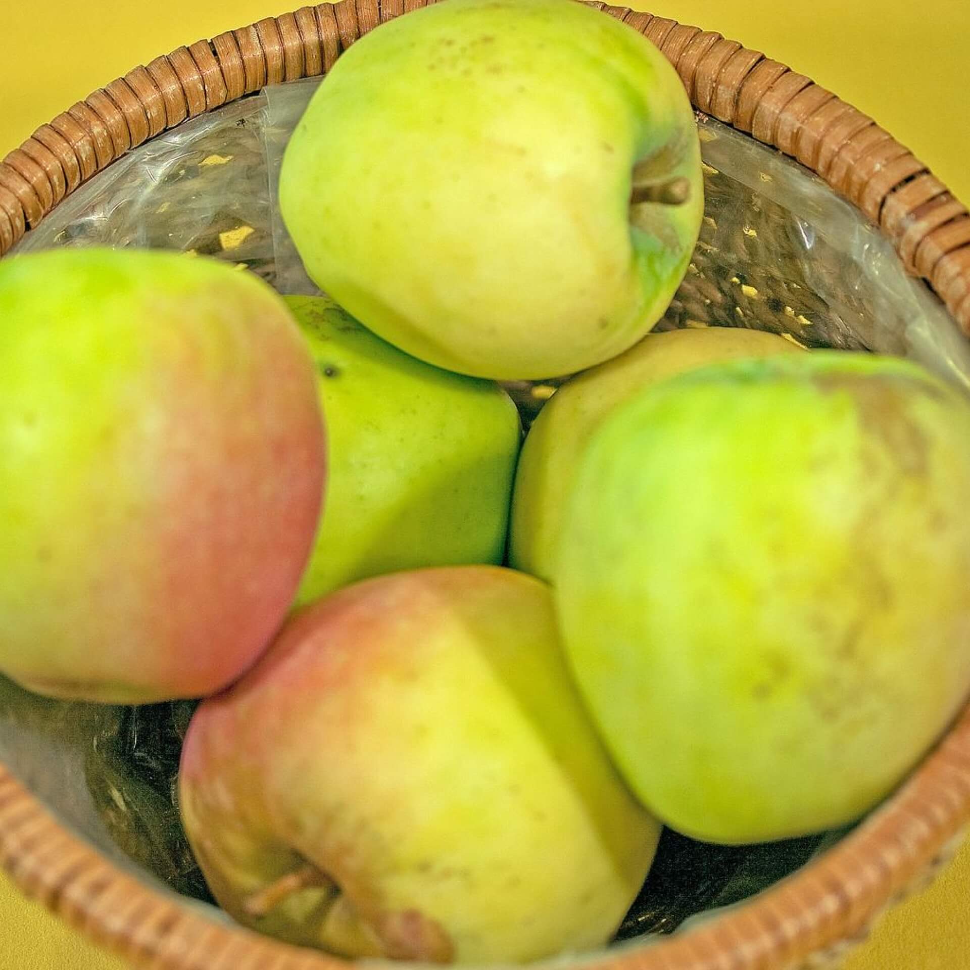 Apfel 'Unseldapfel' (Malus 'Unseldapfel')