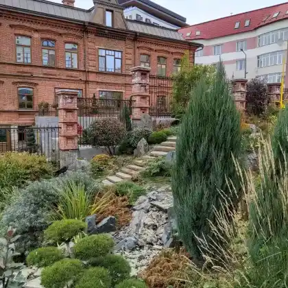 Foto von Raketen-Wacholder (Juniperus scopulorum 'Skyrocket')