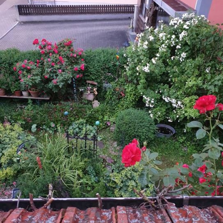 Tutti von Tuttigarten
