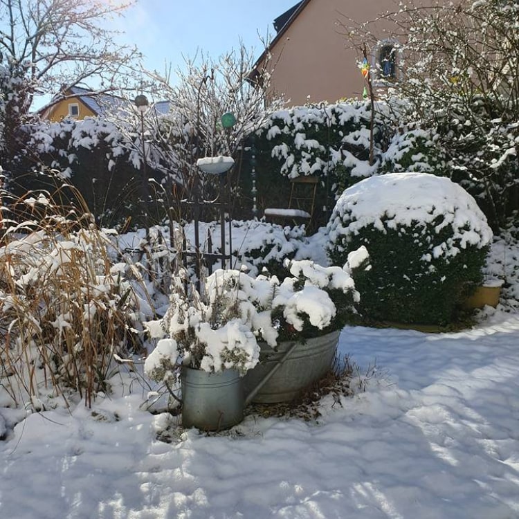 Tutti von Tuttigarten