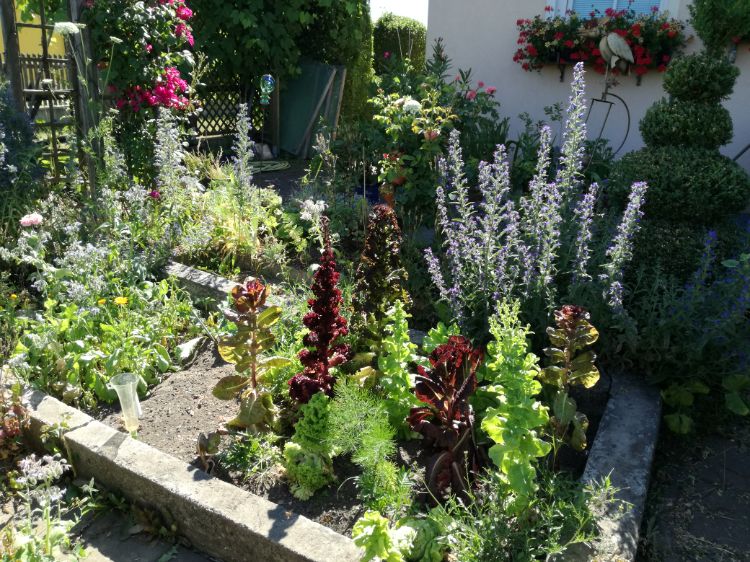 Daniela, Hortus-bios.de